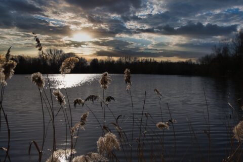 Röhrser Angelteich – KW10/26